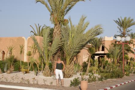 Marrakech ---> Juillet 2008